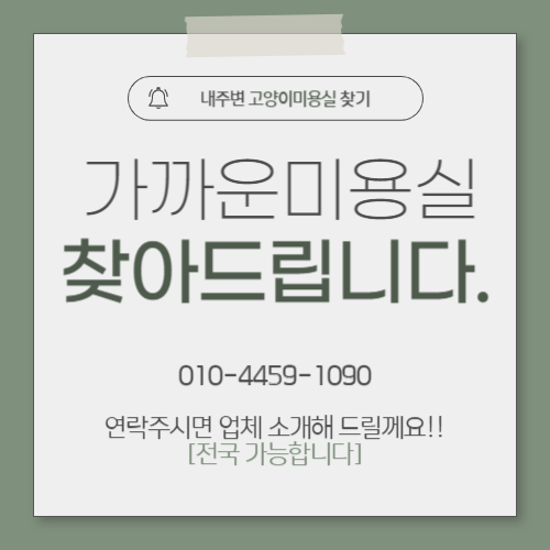 제목을 입력해주세요_-001 (4).png